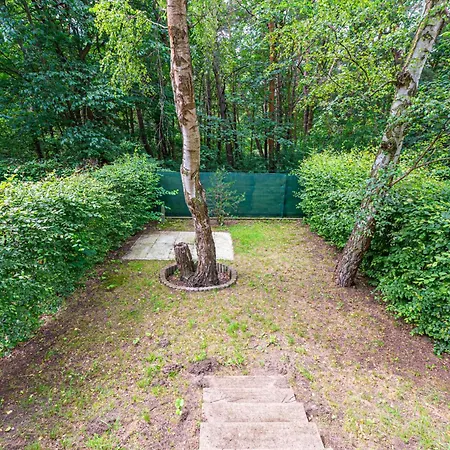 Między Falą A Lasem *