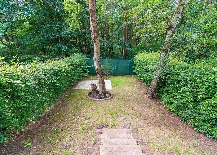 Miedzy Fala A Lasem *